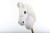 Hobby horse siwy A3 half.JPG