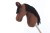 Hobby horse gniady A3 half.JPG