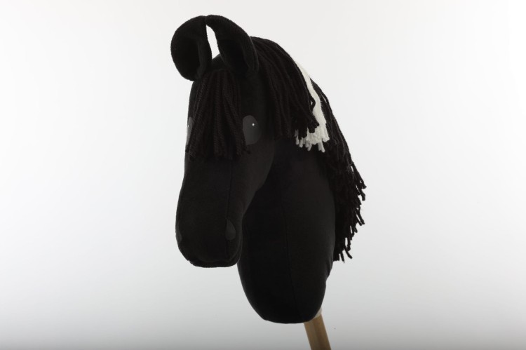 Hobby horse kary A3 half.jpg