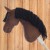 hobby_horse_Cuda_na_kiju_A5_brazowy_2.jpg