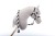 hobby horse czarny.jpg