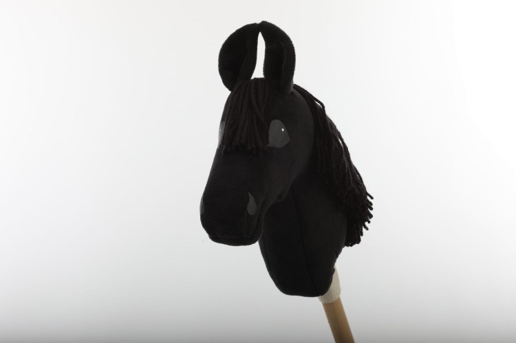 Hobby horse kary A4 half.JPG