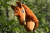 10.png