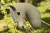 9.png