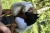 9.png